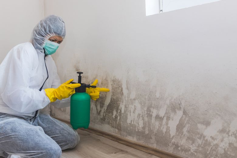 Mold Removal